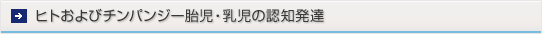 qgу`pW[َE̔FmB